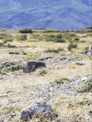 Visitation Rights Image